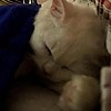 tojddhy's avatar