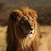 tonster060810's avatar