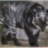 Tora-the-blur's avatar