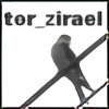 TorZirael's avatar