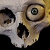 ToxicCDsg's avatar