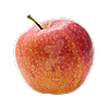 TOXICPUG1008's avatar