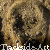 Trackside-Art's avatar