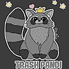 TrashPandi's avatar