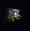 Trasuum's avatar