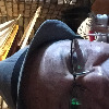 traveldude3's avatar