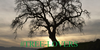 Tree-lovers's avatar