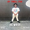 trell1738west's avatar