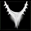 Triangels's avatar