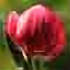 tulinhaa's avatar