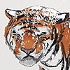 tundr-a's avatar