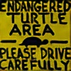 Turtle-Crossing's avatar
