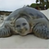 Turtle-gal's avatar