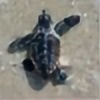 turtletotem's avatar