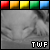 TWF-fanclub's avatar