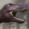 tyrannosaurianrex9's avatar