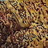 tzk1983's avatar