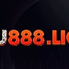 u888lighting's avatar