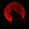 Ubestberunin's avatar