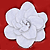 under-white-gardenia's avatar