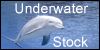 Underwater-Stock's avatar