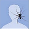 unemployedmolar's avatar