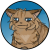 Unihalvaus's avatar