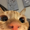 UnworthyBastard's avatar