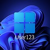 User123SE's avatar