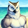 V8-AI's avatar