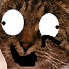 valerwu's avatar