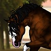 Valkyrie-Vixen-Art's avatar