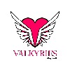 ValkyriesMag's avatar