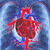 Vampire-Heart-Club's avatar