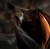 Vampirebat8's avatar