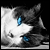 vaporeon1908's avatar