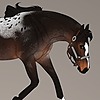 Vastare-Horse-Admin's avatar