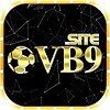 vb9site's avatar