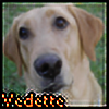 VedetteFP's avatar