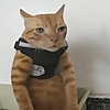 veezleem's avatar