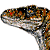 velociraptor92's avatar