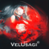 VelUsagi's avatar