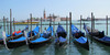 Venice-Venezia's avatar