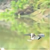Venkatesh241's avatar
