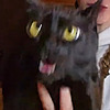 Veoart's avatar