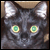 vetsac's avatar
