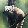 vikike176's avatar