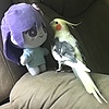 violet-parrot96's avatar