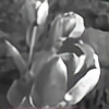 VioletArts's avatar