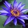 violetdragon626's avatar